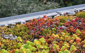 the cost of Midlothian green roof installation