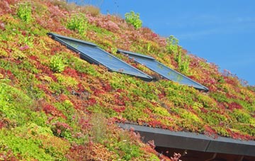 Midlothian living roof systems