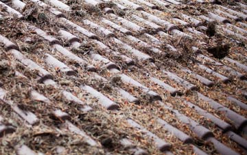 Midlothian roof cleaning companies