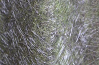 Midlothian fibreglass roof work